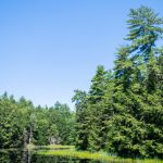 今日头条https//www.toutiao.com 820ylyi